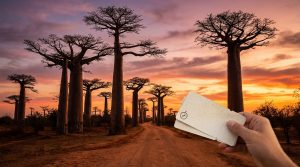 Votre billet d&rsquo;avion pour Madagascar au meilleur prix